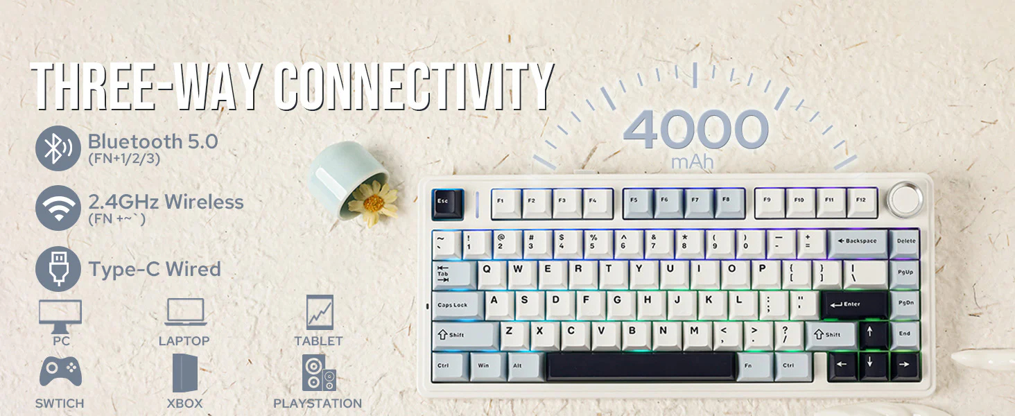 Teclado AULA F75 Teclado Aula Teclado Aula Teclado Aula Aula F75