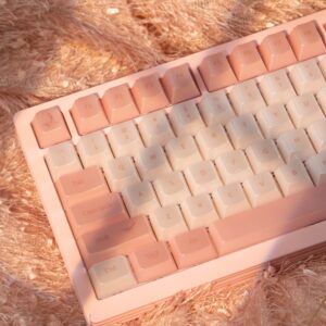Collection Feather (Pink Pearl Shine Original Transparent 132 touches)
