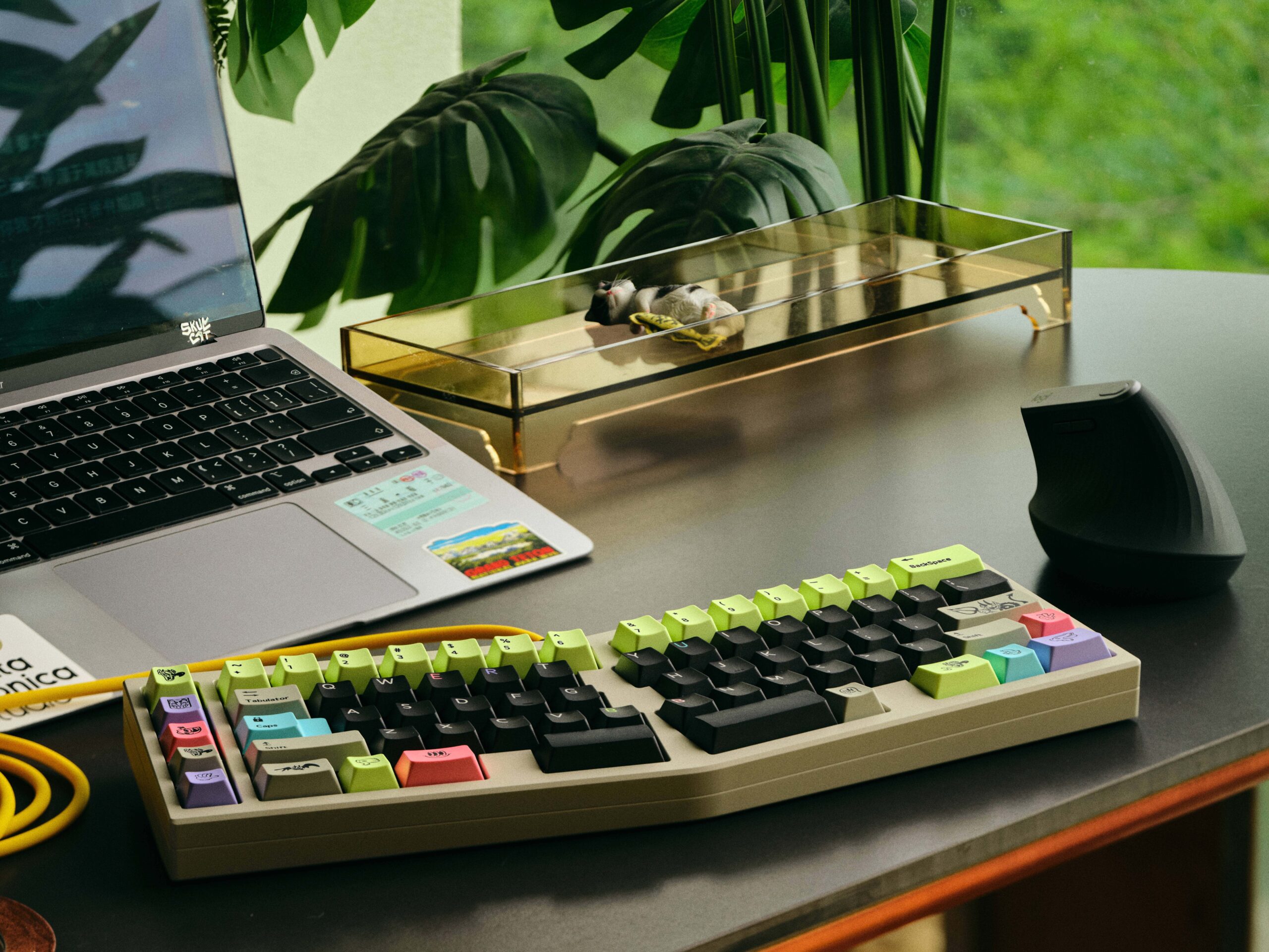Colorful mechanical keyboard on a desk beside a laptop and a glass storage tray with a green plant in the background